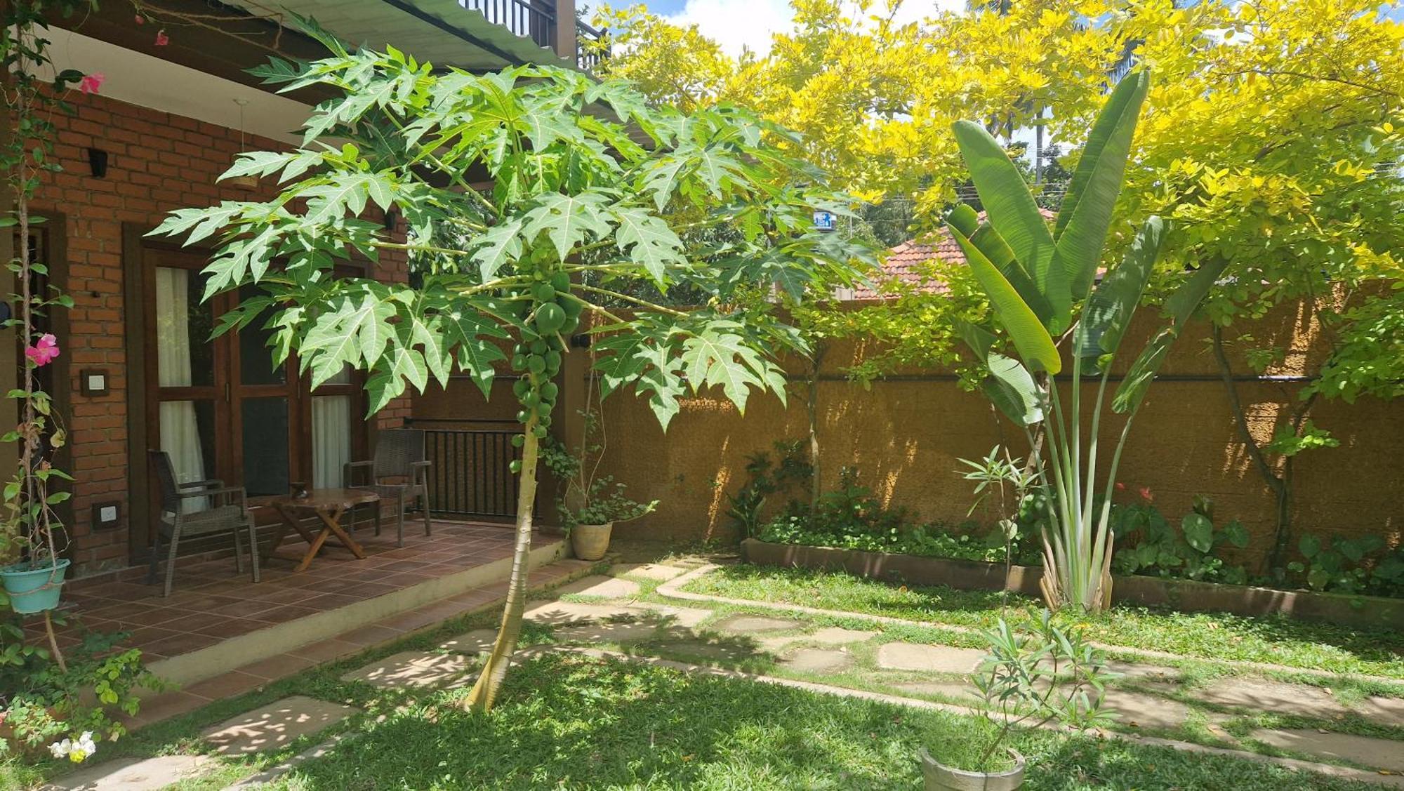 Millet'S Food Company And Cooking Center Hotel Negombo Luaran gambar