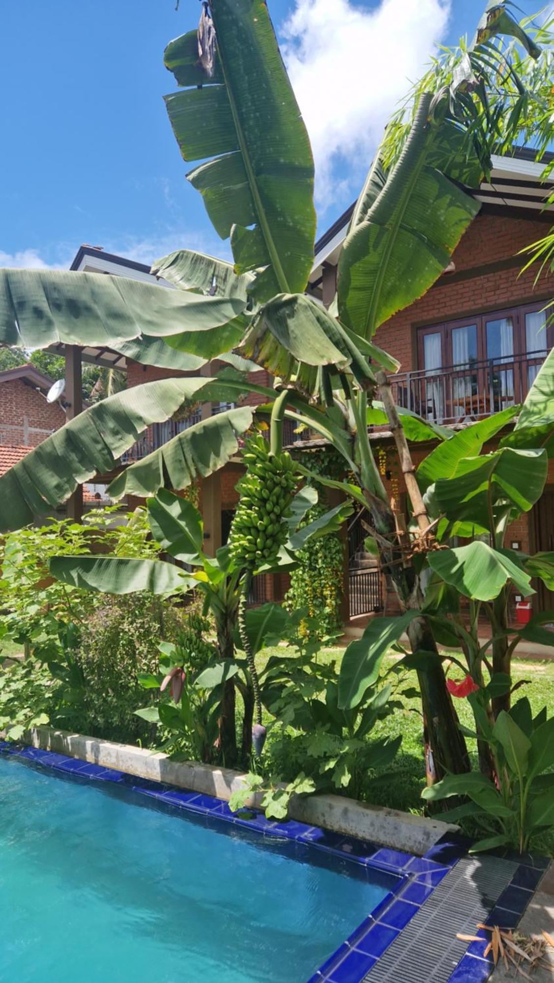 Millet'S Food Company And Cooking Center Hotel Negombo Luaran gambar